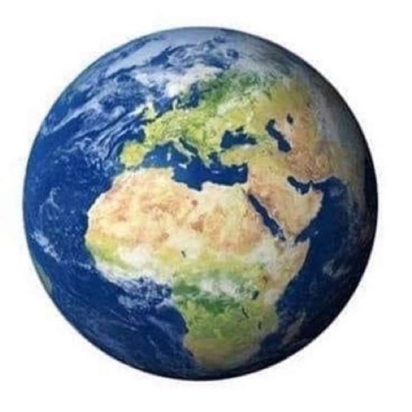 Thank you for shopping with us ! - Picture 1 of 1